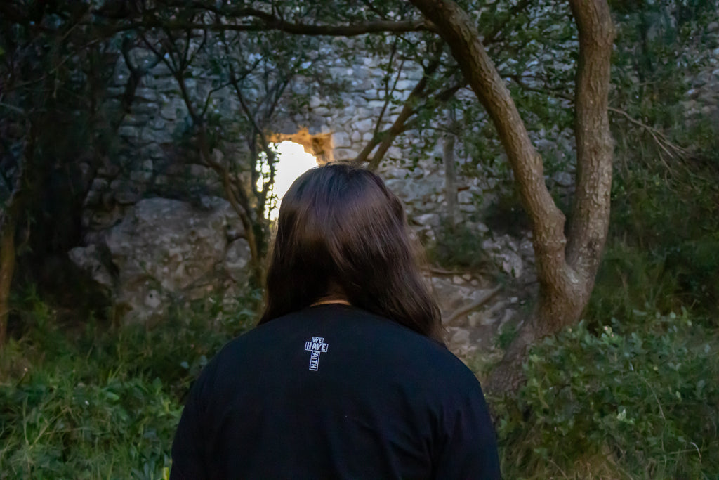 The armor and the shield - Long sleeves