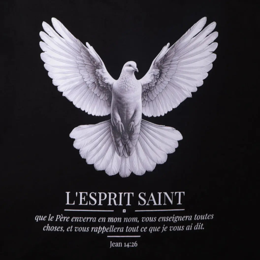 L'Esprit Saint - Manches longues We Have Faith